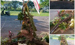 Kantor Dinkes Merauke yang dipalang masyarakat pemilik hak ulayat – Surya Papua/Frans Kobun