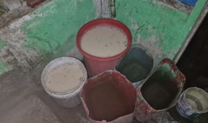 Cairan yang telah difermentasi untuk siap diproduksi menjadi sopi – Surya Papua/IST