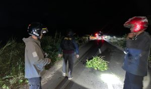 tabrakan 4 Lokasi tabrakan di jalan poris Kampung Kaiburse, Distrik Malind – Surya Papua/IST