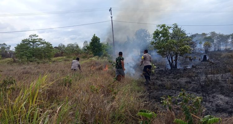 Kebakaran lahan di Jagebob hingga pustu serta bangunan rumah nyaris ikut terbakar – Surya Papua/IST