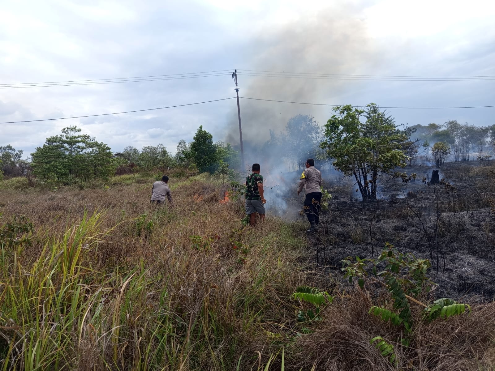 Kebakaran lahan di Jagebob hingga pustu serta bangunan rumah nyaris ikut terbakar – Surya Papua/IST