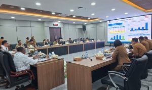 sien Rapat koordinasi bersama Kementerian Dalam Negeri dan Komisi II DPR RI- Surya Papua/IST