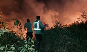 Aparat kepolisian bersama petugas damkar sedang berusaha melakukan pemadaman lahan yang terbakar – Surya Papua/IST