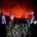 Hutan di Kampung Bupul Indah, Elikobel, Kabupaten Merauke terbakar dini hari tadi – Surya Papua/IST