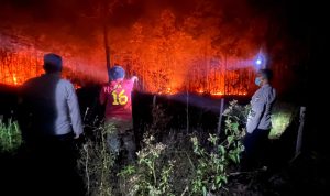 Hutan di Kampung Bupul Indah, Elikobel, Kabupaten Merauke terbakar dini hari tadi – Surya Papua/IST