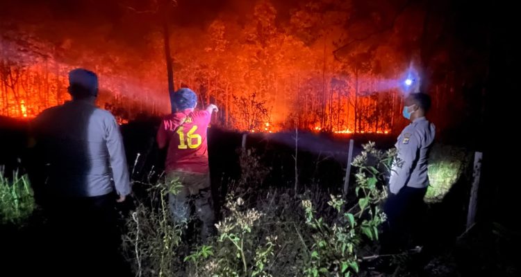 Hutan di Kampung Bupul Indah, Elikobel, Kabupaten Merauke terbakar dini hari tadi – Surya Papua/IST