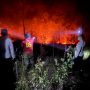 Hutan di Kampung Bupul Indah, Elikobel, Kabupaten Merauke terbakar dini hari tadi – Surya Papua/IST