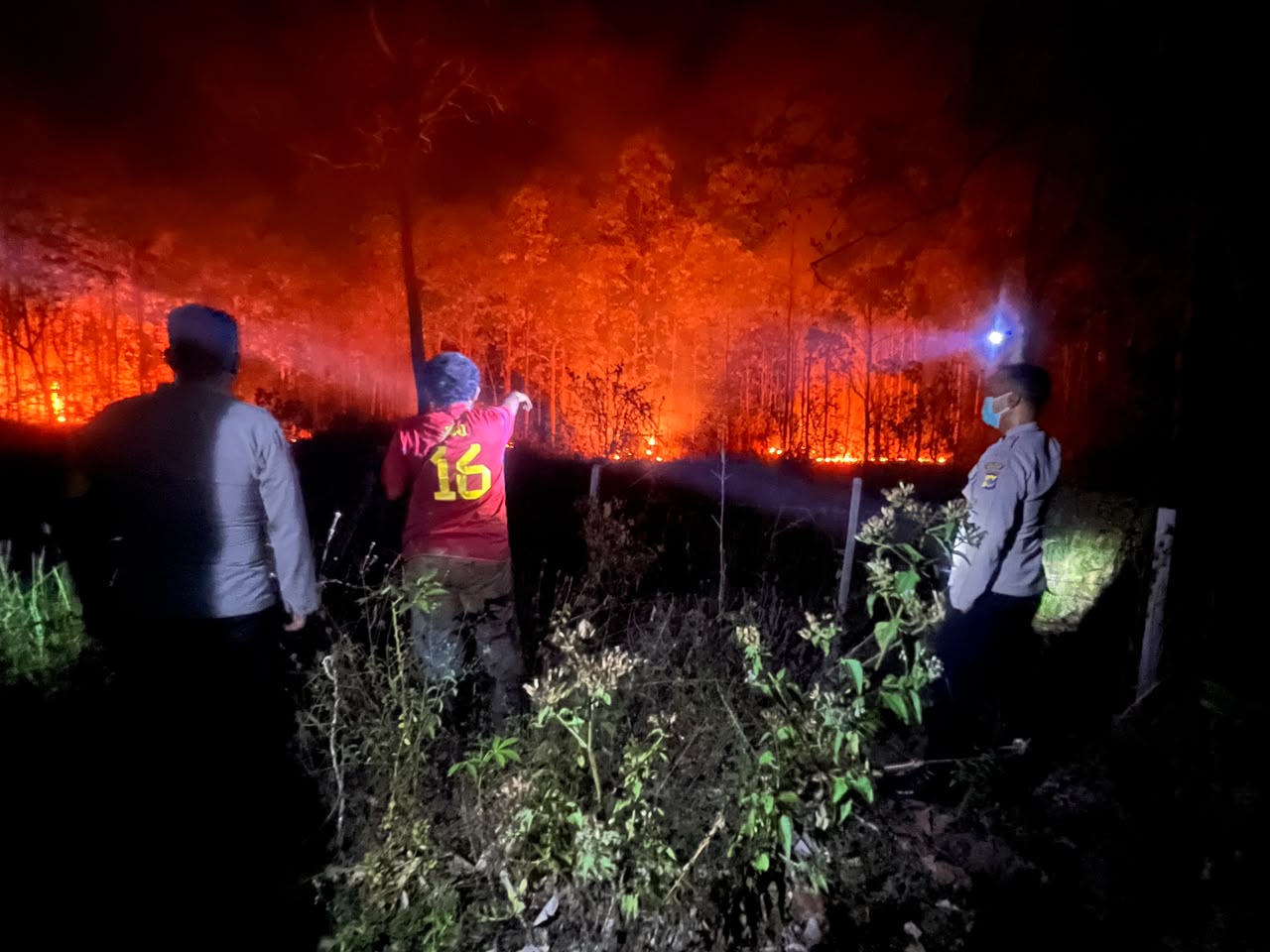 Hutan di Kampung Bupul Indah, Elikobel, Kabupaten Merauke terbakar dini hari tadi – Surya Papua/IST