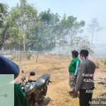 Kebun karet milik masyarakat di Kampung Kartini, Distrik Jagebob yang terbakar – Surya Papua/IST