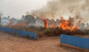karet 2 Kebakaran lahan terjadi di Kampung Wonorejo, Distrik Kurik, Kabupaten Merauke-kemarin siang – Surya Papua/IST