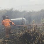 Tim gabungan sedang melakukan pemadaman kobaran api di seputaran Jalan KPG-Merauke – Surya Papua/IST