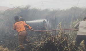 kpg-- Tim gabungan sedang melakukan pemadaman kobaran api di seputaran Jalan KPG-Merauke – Surya Papua/IST