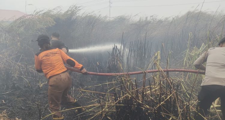 Tim gabungan sedang melakukan pemadaman kobaran api di seputaran Jalan KPG-Merauke – Surya Papua/IST