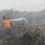 Tim gabungan sedang melakukan pemadaman kobaran api di seputaran Jalan KPG-Merauke – Surya Papua/IST