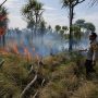 Kegiatan pemadaman lahan di Kurik, Kabupaten Merauke oleh anggota polisi – Surya Papua/IST