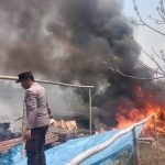 Kebakaran lahan di sekitar pemukiman warga di Kampung Sota, Distrik Sota, Kabupaten Merauke – Surya Papua/IST