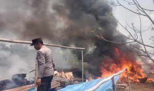 Kebakaran lahan di sekitar pemukiman warga di Kampung Sota, Distrik Sota, Kabupaten Merauke – Surya Papua/IST