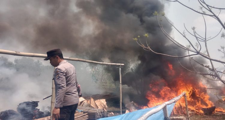 Kebakaran lahan di sekitar pemukiman warga di Kampung Sota, Distrik Sota, Kabupaten Merauke – Surya Papua/IST