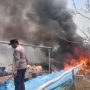 Kebakaran lahan di sekitar pemukiman warga di Kampung Sota, Distrik Sota, Kabupaten Merauke – Surya Papua/IST
