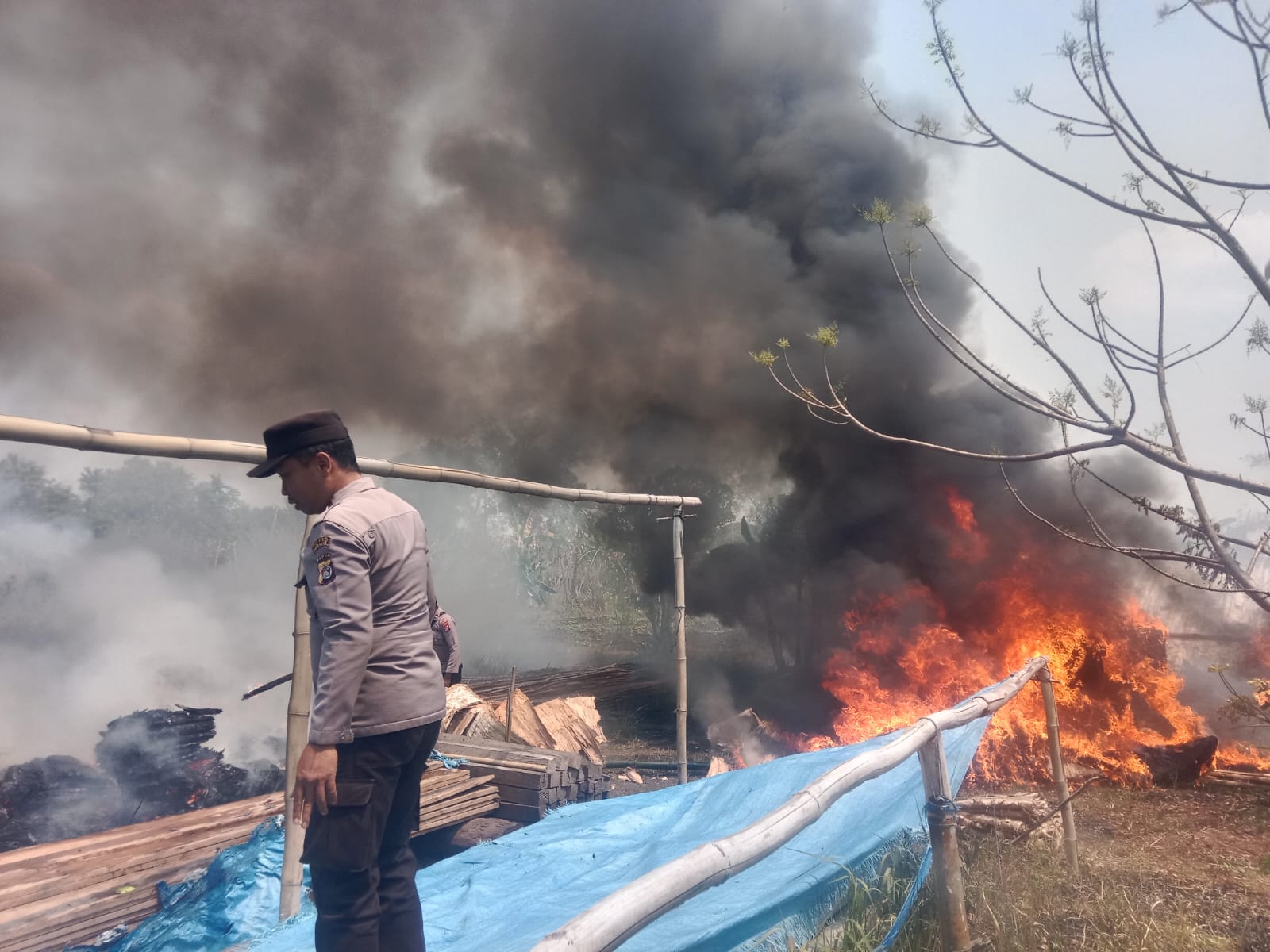 Kebakaran lahan di sekitar pemukiman warga di Kampung Sota, Distrik Sota, Kabupaten Merauke – Surya Papua/IST