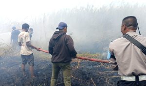 padam kan 7 Tim gabungan bersama masyarakat sedang bersama-sama melakukan pemadaman api di Kampung Yaba Maru, Kabupaten Merauke – Surya Papua/IST