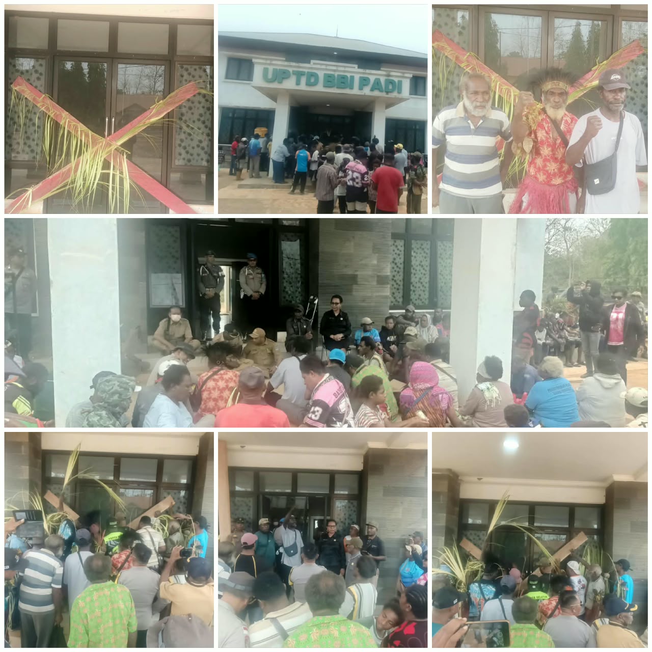 Ratusan masyarakat pemilik ulayat dari Kampung Kumbe, Distrik Anim ha memalang Kantor UPTD BBI Padi Kurik – Surya Papua/Frans Kobun