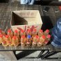 Satresnarkoba Polres Merauke mengamankan belasan botol minuman lokal jenis sopi di Jalan Husein Palela – Surya Papua/IST
