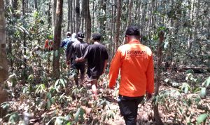 Tim SAR Gabungan yang menyusur hutan Ulilin mencari dua korban yang hilang – Surya Papua/IST