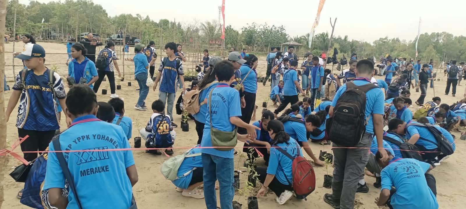 Ratusan anak sedang melakukan penanaman pohon mangrove di Pantai Yobar I – Surya Papua/Frans Kobun