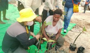 mangrove 8 Salah seorang ibu sedang diajarkan tentang pembibitan anakan pohon mangrove di Kampung Nasem – Surya Papua/IST