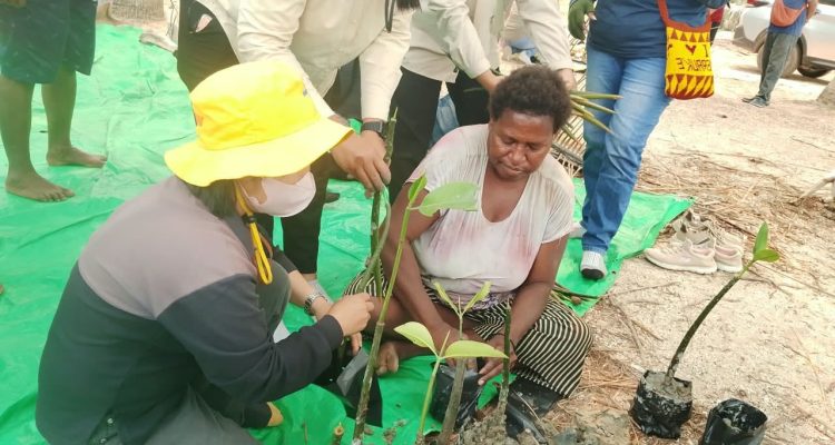 Salah seorang ibu sedang diajarkan tentang pembibitan anakan pohon mangrove di Kampung Nasem – Surya Papua/IST