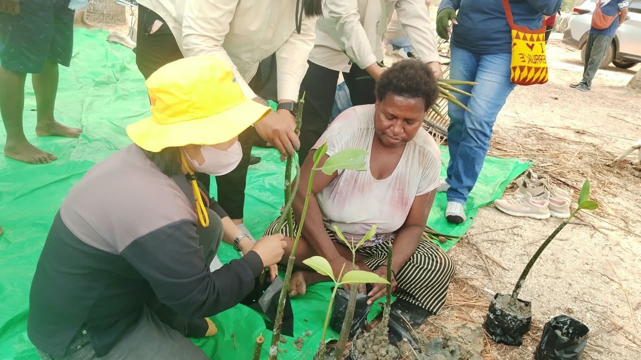Salah seorang ibu sedang diajarkan tentang pembibitan anakan pohon mangrove di Kampung Nasem – Surya Papua/IST