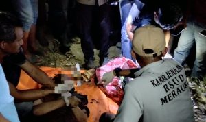 semangga 2 Korban sedang dievakuasi polisi bersama masyarakat setempat – Surya Papua/IST