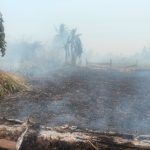 Kebakaran lahan sekitar 1 hektar di Kampung Waninggap Miraf – Surya Papua/IST
