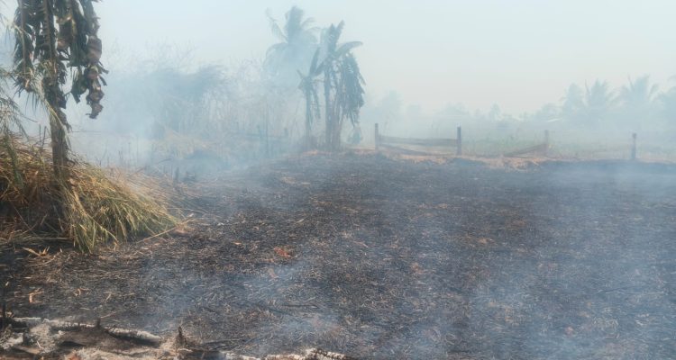Kebakaran lahan sekitar 1 hektar di Kampung Waninggap Miraf – Surya Papua/IST