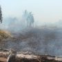 Kebakaran lahan sekitar 1 hektar di Kampung Waninggap Miraf – Surya Papua/IST