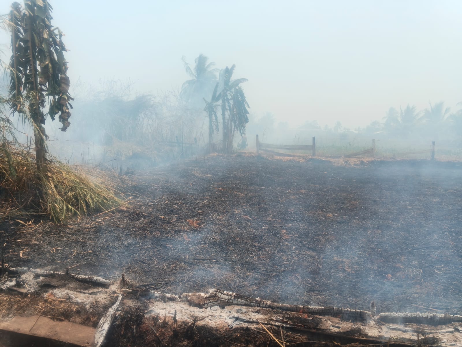 Kebakaran lahan sekitar 1 hektar di Kampung Waninggap Miraf – Surya Papua/IST